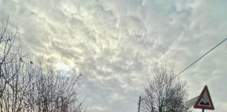 Scoperto con oltre un etto di cocaina: la Polizia di Stato di Treviso arresta un cittadino kosovaro La Polizia di Stato di Treviso sul punto in cui è stata controllata la macchina