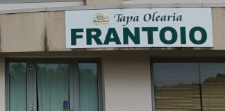 TAPA OLEARIA, L’OLIVICOLTURA TREVIGIANA CERCA DI CRESCERE