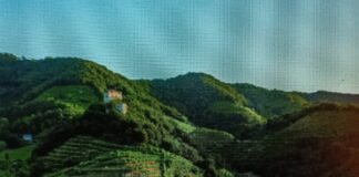 Colline del Prosecco, doppio finanziamento regionale