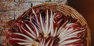 Fiori d’Inverno a Mogliano Veneto