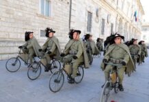 Militaria 2026 a Cimadolmo: quarta edizione alle Grave di Papadopoli