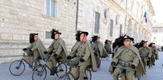 Militaria 2026 a Cimadolmo: quarta edizione alle Grave di Papadopoli