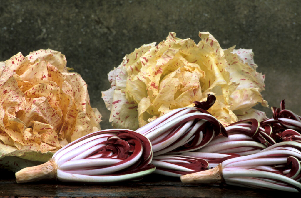 Radicchio Rosso Tardivo di Treviso IGP, Radicchio Verdon, Mostra Mercato, Parco Regionale del Fiume Sile