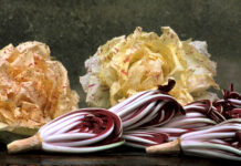 Fiori d’Inverno 2026: il Radicchio IGP protagonista nella Marca Trevigiana Radicchio Rosso Tardivo di Treviso IGP, Radicchio Verdon, Mostra Mercato, Parco Regionale del Fiume Sile