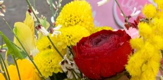 Donne venete, il messaggio di Stefani per l’8 marzo donne venete, Regione Veneto, Alberto Stefani, genio femminile