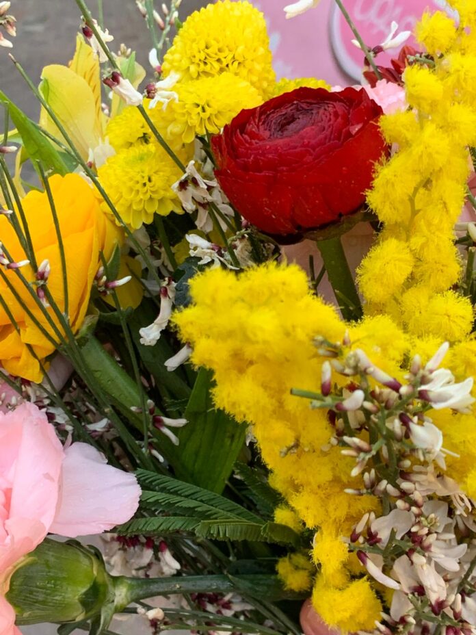 donne venete, Regione Veneto, Alberto Stefani, genio femminile donne venete, Regione Veneto, Alberto Stefani, genio femminile