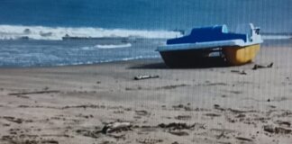 Spiaggiamenti: il Veneto rafforza il protocollo per cetacei e tartarughe marine Rimuovi il termine: Veneto VenetoRimuovi il termine: Mare MareRimuovi il termine: Spiaggiamenti SpiaggiamentiRimuovi il termine: Litorale Venezia Litorale Venezia