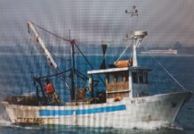 Carburante per la pesca: a Chioggia scorte razionate e rischio aumento del prezzo del pesce pesca, carburante pesca, Chioggia, prezzo del pesce, crisi pesca, pescherecci, carburante, economia mare