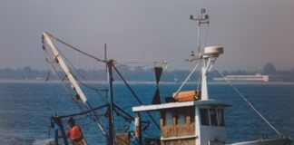Carburante per la pesca: a Chioggia scorte razionate e rischio aumento del prezzo del pesce pesca, carburante pesca, Chioggia, prezzo del pesce, crisi pesca, pescherecci, carburante, economia mare