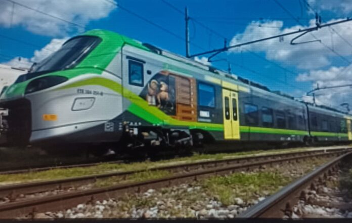 ritardi treni, Venezia Udine, pulcini sui binari, traffico ferroviario, Treviso, Polizia ferroviaria, disagi treni ritardi treni, Venezia Udine, pulcini sui binari, traffico ferroviario, Treviso, Polizia ferroviaria, disagi treni