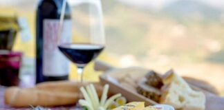 Turismo Verde Treviso, Barbara Guzzetti nuovo presidente 2026-2030 Turismo Verde Treviso, agriturismo Veneto, Barbara Guzzetti, CIA Agricoltori Italiani, turismo sostenibile, agricoltura, Veneto, turismo rurale, innovazione digitale, fattorie didattiche