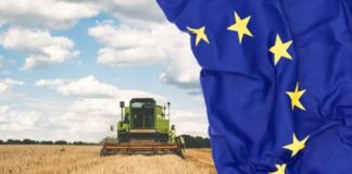 PAC, il Veneto imposta la strategia agricola 2028-2034 PAC Veneto, agricoltura veneta, sviluppo rurale, politica agricola comune, Veneto, sostenibilità, innovazione agricola, economia agricola