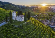 Incendio a Col San Martino, rogo nei vigneti vicino San Vigilio incendio Col San Martino, Farra di Soligo, incendio bosco, vigili del fuoco, San Vigilio, cronaca Treviso, incendio oggi, rogo Veneto