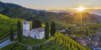 Incendio a Col San Martino, rogo nei vigneti vicino San Vigilio incendio Col San Martino, Farra di Soligo, incendio bosco, vigili del fuoco, San Vigilio, cronaca Treviso, incendio oggi, rogo Veneto