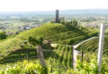 Conegliano Valdobbiadene: eventi e mostre del vino tra aprile e maggio Conegliano Valdobbiadene, Prosecco DOCG, Mostre del vino, Eventi Veneto, Enogastronomia