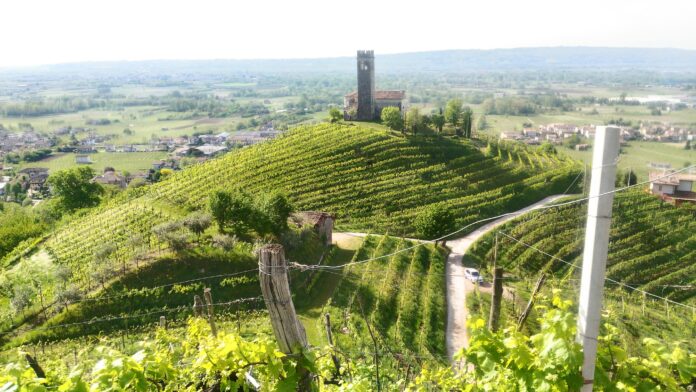 Conegliano Valdobbiadene, Prosecco DOCG, Mostre del vino, Eventi Veneto, Enogastronomia Conegliano Valdobbiadene, Prosecco DOCG, Mostre del vino, Eventi Veneto, Enogastronomia