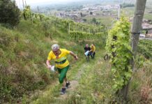 Orienteering a Farra di Soligo: successo per il Tour Trevigiano Orienteering, Farra di Soligo, Sport, Eventi, Giovani