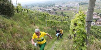 Orienteering a Farra di Soligo: successo per il Tour Trevigiano Orienteering, Farra di Soligo, Sport, Eventi, Giovani