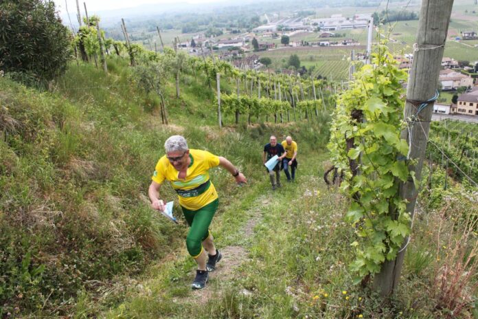 Orienteering, Farra di Soligo, Sport, Eventi, Giovani Orienteering, Farra di Soligo, Sport, Eventi, Giovani