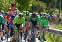GP Città di Vigonza, palcoscenico unico per gli Juniores ciclismo, Vigonza, sport, Juniores, gare ciclistiche