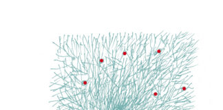Metodo scientifico, a Treviso il convegno che fa il punto sulla scienza metodo scientifico, Treviso, BiblioTreviso, scienza, filosofia della scienza, convegni, cultura scientifica, CNR, ricerca, università