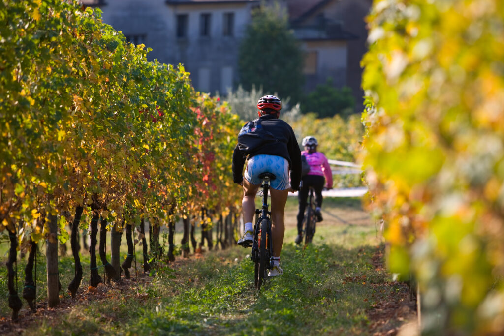 Slow Bike, Prosecco, Enogastronomia, E-bike, Eventi Veneto