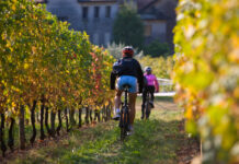 Slow Bike, itinerari tra le colline del Prosecco Slow Bike, Prosecco, Enogastronomia, E-bike, Eventi Veneto