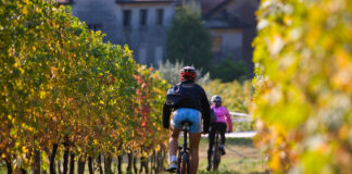 Slow Bike, itinerari tra le colline del Prosecco Slow Bike, Prosecco, Enogastronomia, E-bike, Eventi Veneto