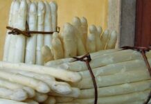 Asparago bianco IGP di Cimadolmo: al via la raccolta 2026 asparago bianco IGP di Cimadolmo, Cimadolmo, agricoltura, prodotti tipici, IGP, Treviso, eventi locali, enogastronomia
