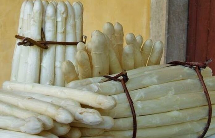 asparago bianco IGP di Cimadolmo, Cimadolmo, agricoltura, prodotti tipici, IGP, Treviso, eventi locali, enogastronomia asparago bianco IGP di Cimadolmo, Cimadolmo, agricoltura, prodotti tipici, IGP, Treviso, eventi locali, enogastronomia