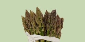 Mostra Asparago a Badoere: programma, eventi e tradizioni Mostra Asparago Badoere, Zero Branco, asparago IGP, eventi Veneto, sagre 2026, enogastronomia, primavera Veneto