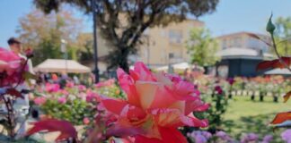 Forte in Fiore 2026: evento a Mestre tra natura, food e spettacoli Forte in Fiore, Mestre, Forte Marghera, eventi Venezia, primavera, giardinaggio, florovivaismo, eventi gratis, famiglie, Veneto