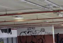 Sgombero Park Dal Negro, operazione all’alba a Treviso Treviso, sgombero, sicurezza urbana, senzatetto, Park Dal Negro, cronaca locale, Mario Conte, proteste