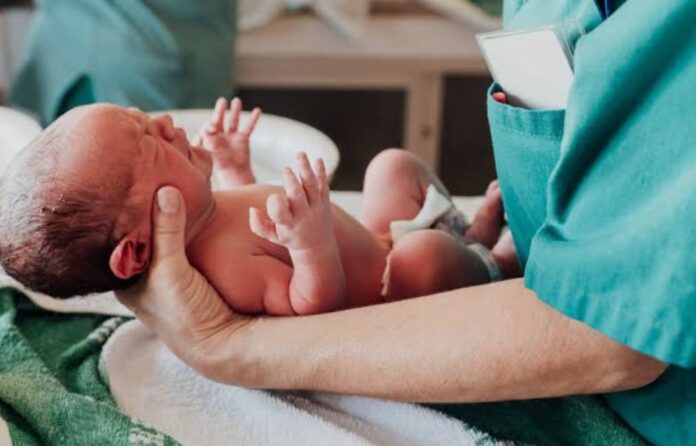 Treviso, nascite, ospedali, sanità, demografia Treviso, nascite, ospedali, sanità, demografia