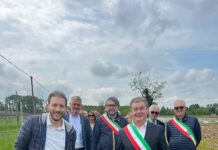 Asparago di Badoere, eccellenza veneta tra tradizione e sviluppo asparago di Badoere, Veneto, agricoltura, prodotti tipici, economia locale