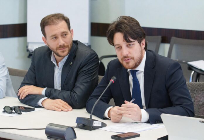 psicologo territoriale, Veneto, sanità territoriale, Lega, Consiglio regionale psicologo territoriale, Veneto, sanità territoriale, Lega, Consiglio regionale