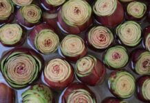 Festa del Carciofo Violetto di Sant’Erasmo 2026: tradizione e sapori della laguna Festa del Carciofo Sant’Erasmo Eventi Venezia Sagre Veneto Carciofo Violetto