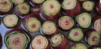 Festa del Carciofo Violetto di Sant’Erasmo 2026: tradizione e sapori della laguna Festa del Carciofo Sant’Erasmo Eventi Venezia Sagre Veneto Carciofo Violetto