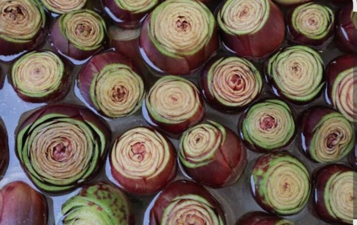 Festa del Carciofo Sant’Erasmo Eventi Venezia Sagre Veneto Carciofo Violetto Festa del Carciofo Sant’Erasmo Eventi Venezia Sagre Veneto Carciofo Violetto