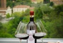 Cento Orizzonti del Vino: evento tra cantine e turismo a Treviso enoturismo, Treviso, vino