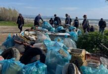 Plastic Free in Veneto, 9 eventi per ripulire il litorale Plastic Free, Veneto, Ambiente