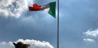 Alpini e 25 aprile: memoria, libertà e identità nazionale Alpini, 25 aprile, Liberazione, W l'Italia