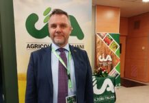 Agrifotovoltaico in Veneto: opportunità, rischi e regole per difendere territorio e agricoltura agrifotovoltaico, Veneto, energia rinnovabile