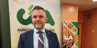 Agrifotovoltaico in Veneto: opportunità, rischi e regole per difendere territorio e agricoltura agrifotovoltaico, Veneto, energia rinnovabile