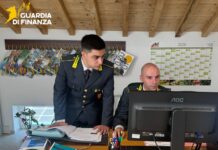 La GdF di Treviso sgomina un’associazione a delinquere: i dettagli La GdF di Treviso nel corso di un'indagine