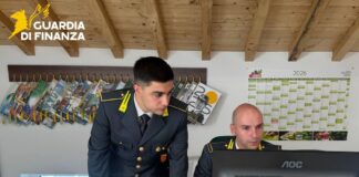 La GdF di Treviso sgomina un’associazione a delinquere: i dettagli La GdF di Treviso nel corso di un'indagine