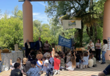 Api e biodiversità: al Parco del Sile una giornata educativa per i giovani studenti api, Parco del Sile, biodiversità