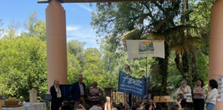 Api e biodiversità: al Parco del Sile una giornata educativa per i giovani studenti api, Parco del Sile, biodiversità