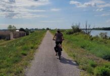 Ciclovia Adriatica, operativo il collegamento tra Porto Viro e Rosolina Ciclovia Adriatica, Delta del Po, turismo sostenibile