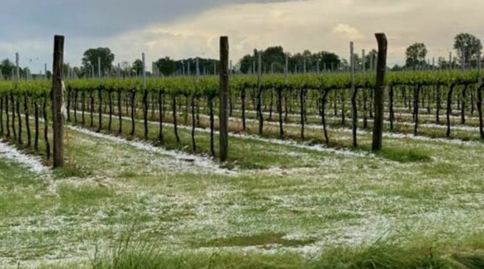 maltempo, Veneto, grandine maltempo, Veneto, grandine